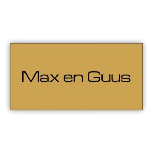 4x2cm goud
